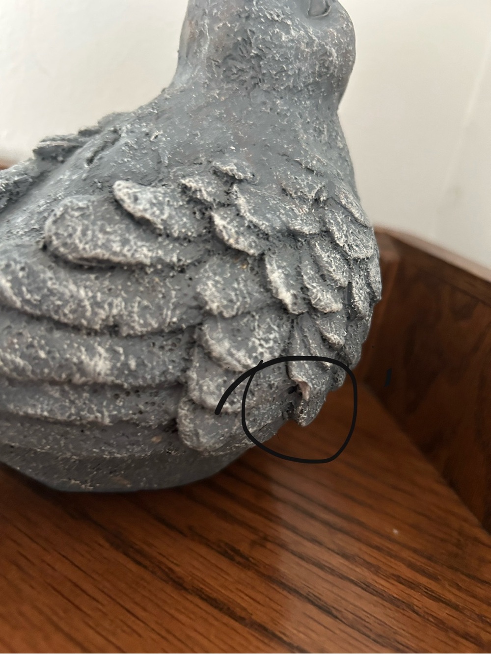 Bird decor - Picture 6 of 7